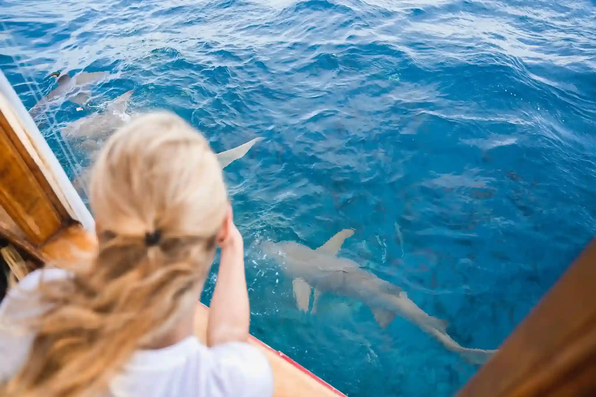 Adaaran Club Rannalhi - Image 3