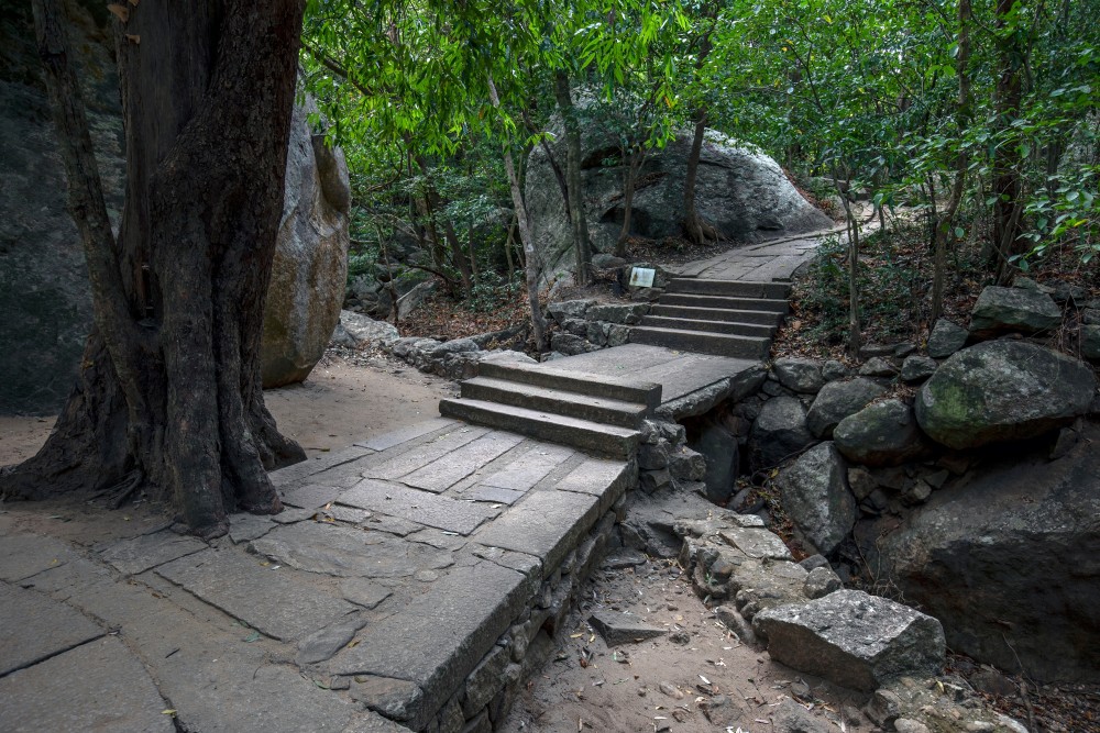 Wander the Whispering Forests of Ritigala