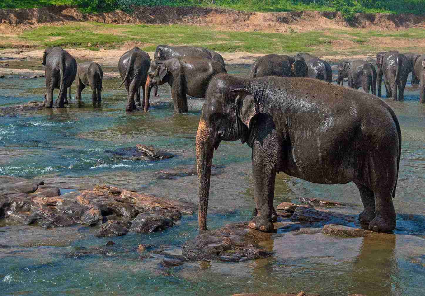 Sri Lanka Cultural & Beach Holiday