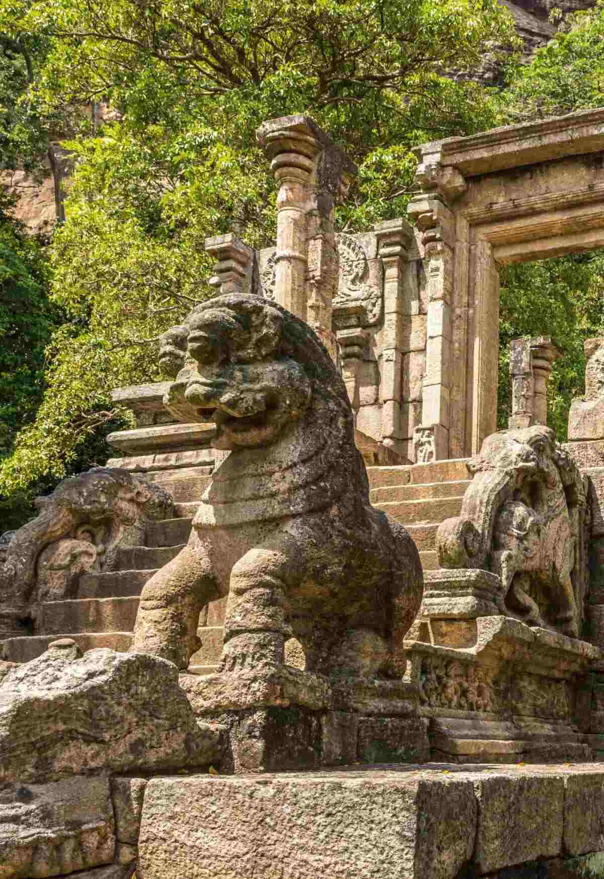 Climb the Lost Citadel of Yapahuwa